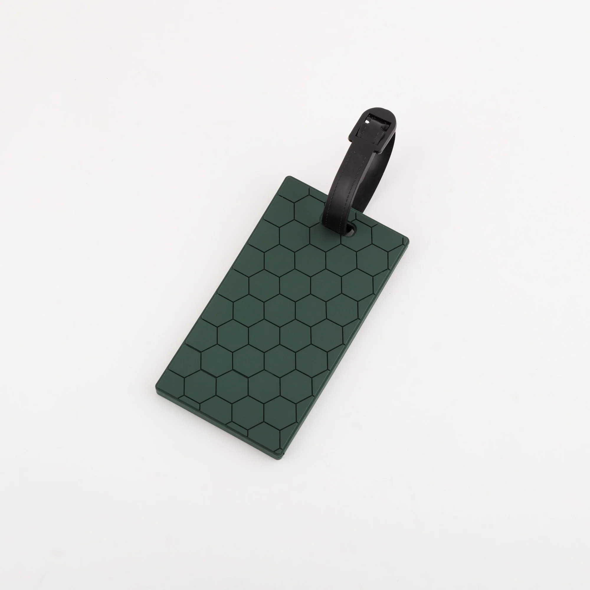 Tag - Tag turtle