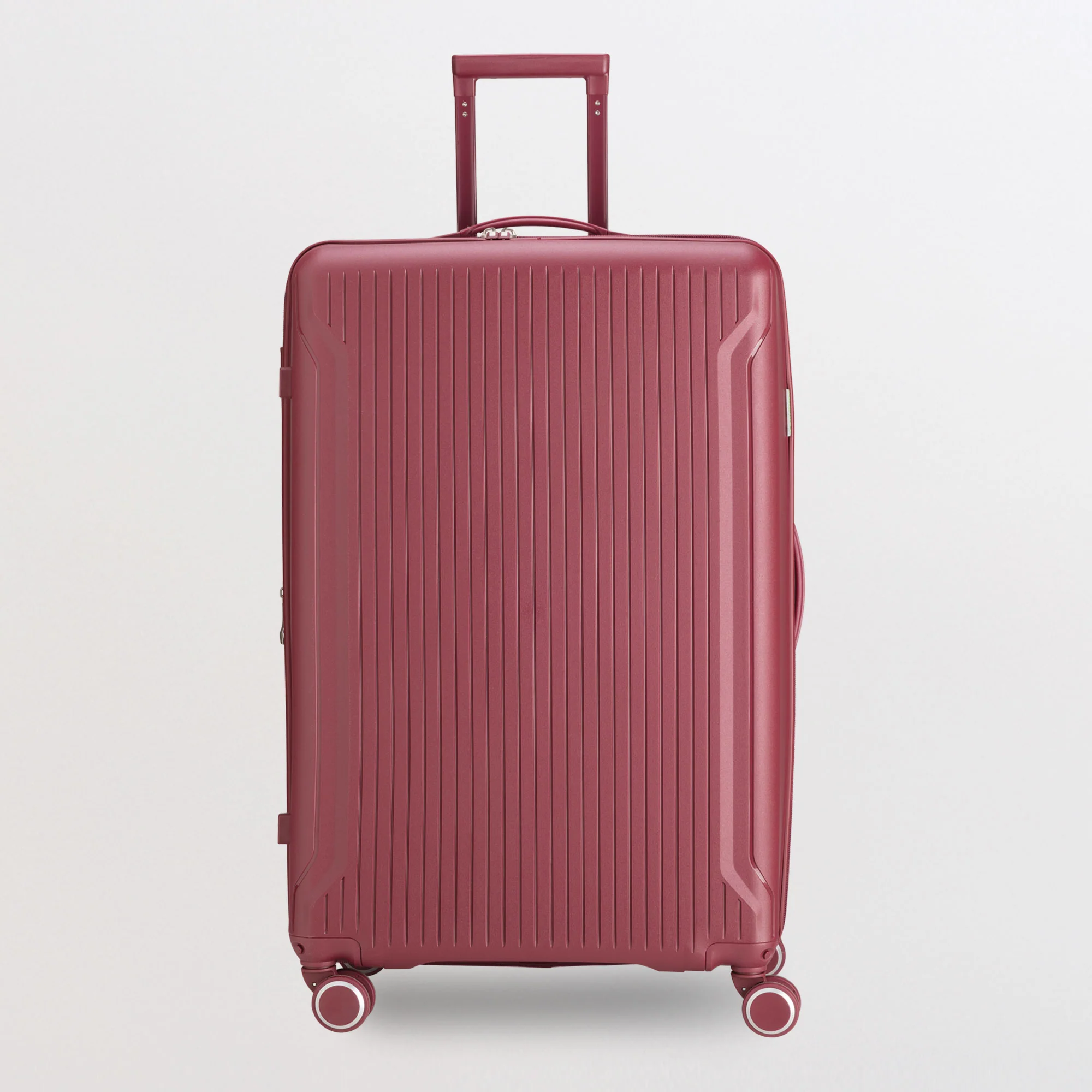 Trolley L - Rigido - Flexitech - Image 3