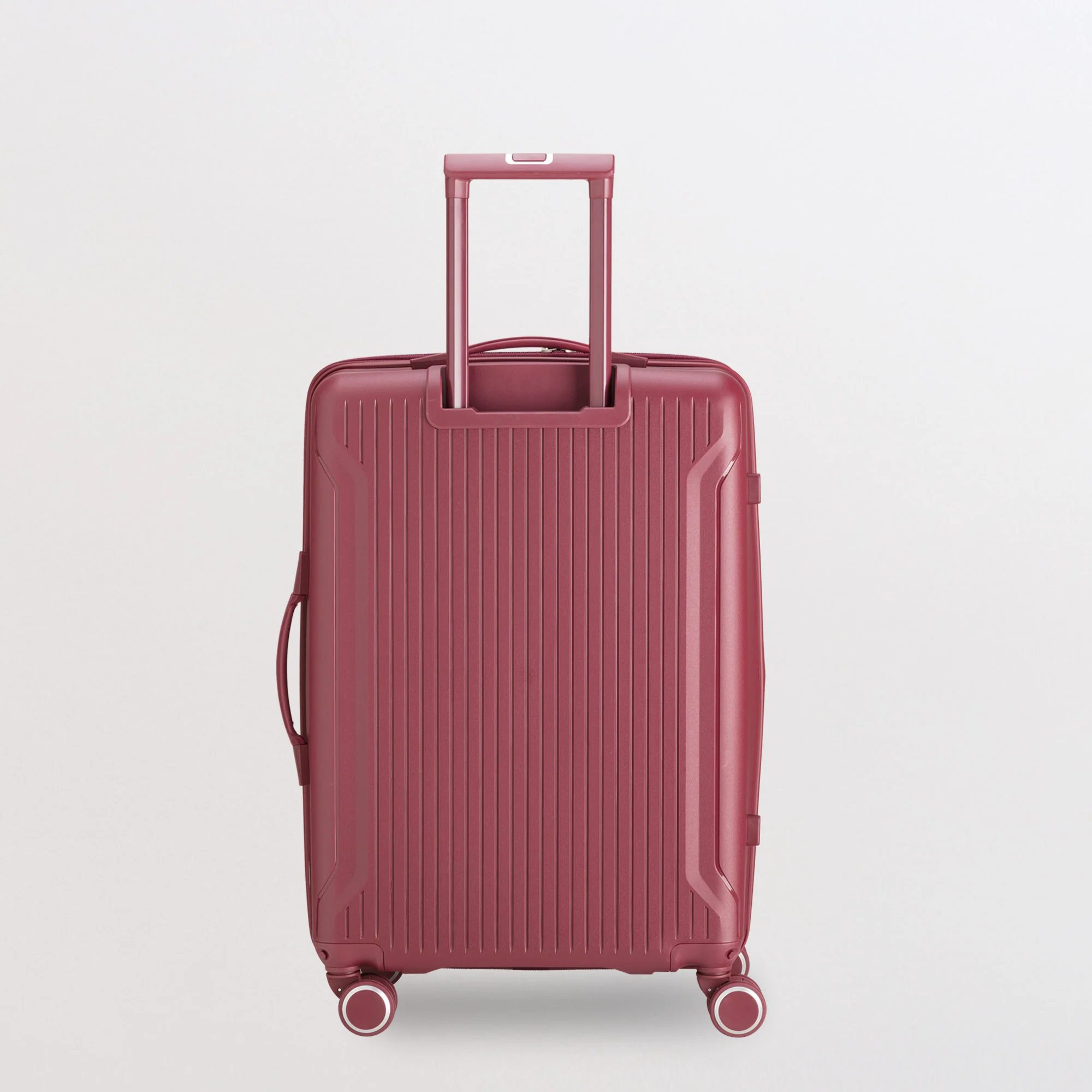Trolley M - Rigido - Flexitech - Image 3